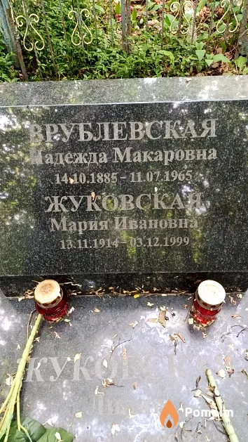 Жуковская Лилия Александровна