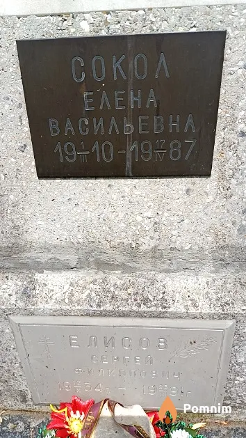 Сокол Елена Васильевна