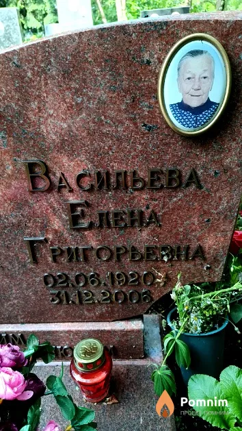 Васильева Елена Григорьевна