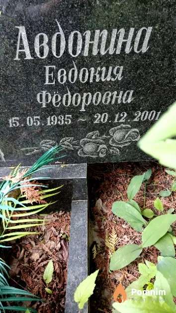 Авдонина Евдокия Федоровна