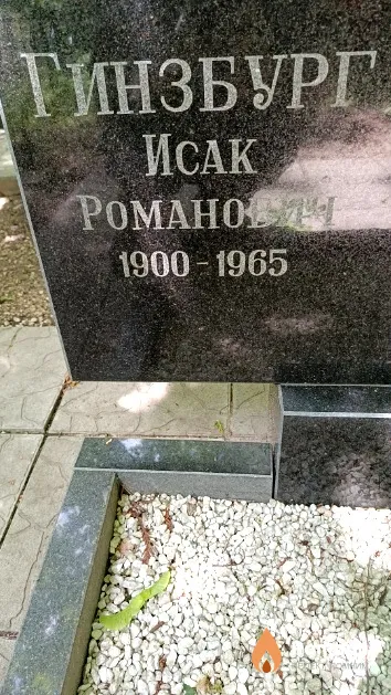 Гинзбург Исак Романович
