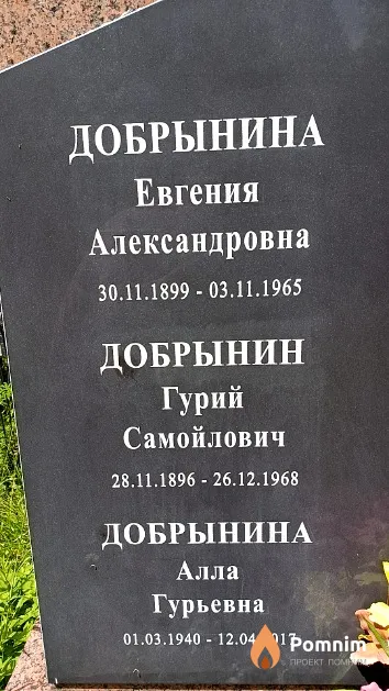 Добрынина Алла Гурьевна