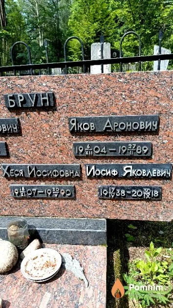 Брун Арон Вениаминович