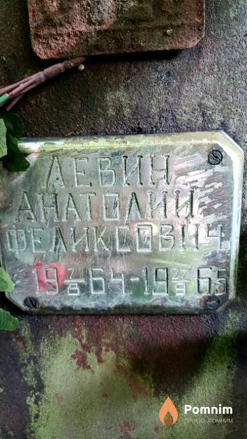 Левина Анатолий Феликсович