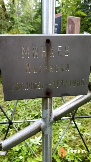 Минаев Василий