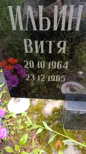 Ильин Виктор