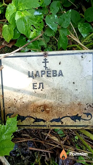 Царёва Елена Геннадьевна