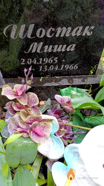 Шостак Миша