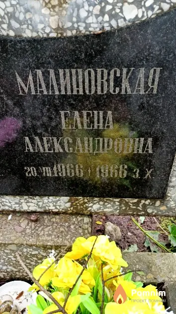 Малиновская Елена Александровна