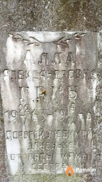 Гриб Алла Александровна