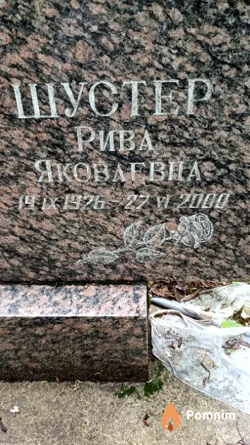Шустер Рива Яковлевна