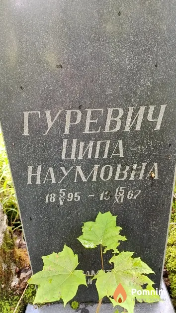 Гуревич Ципа Наумовна