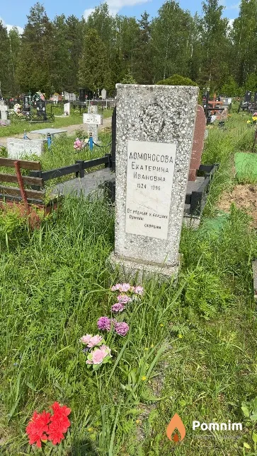 Ломоносова Екатерина Ивановна