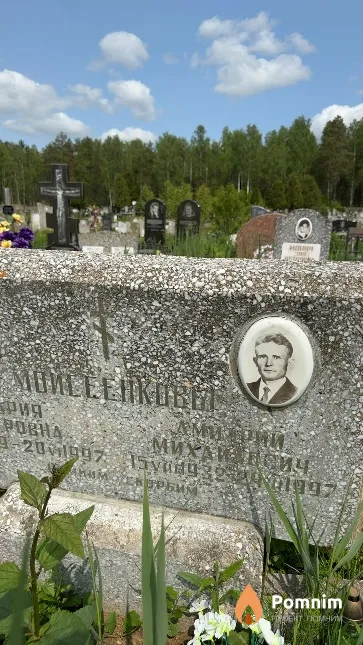 Моисеенков Дмитрий Михайлович
