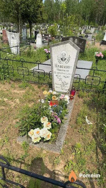 Илюхин Николай Дмитриевич