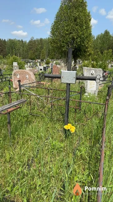 Никольская Екатерина Александровна