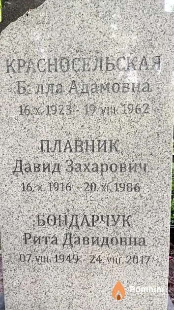 Плавник Давид Захарович