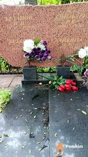 Гинзбург Р. В.