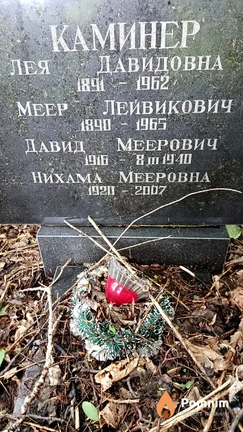 Каминер Меер Лейвикович