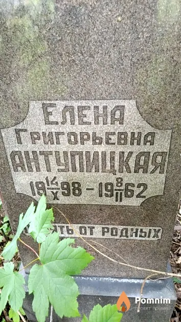 Антупицкая Елена Григорьевна