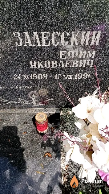 Залесский Ефим Яковлевич
