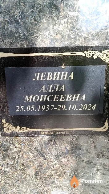 Левина Алла Моисеевна
