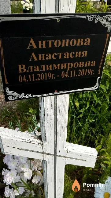 Антонова Анастасия Владимировна