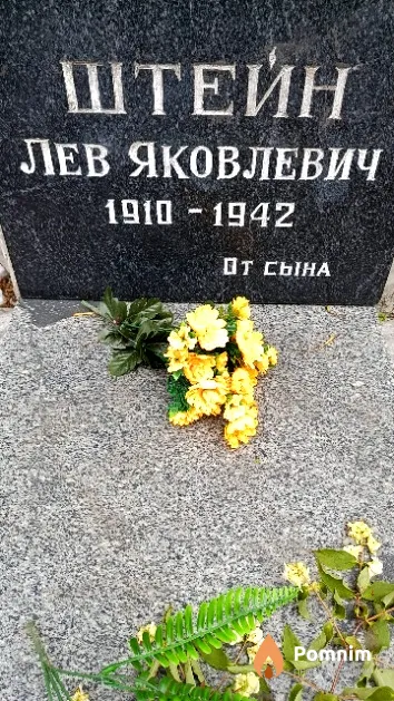 Штейн Лев Яковлевич