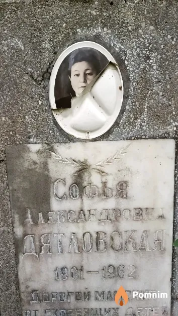 Дятловская Софья Александровна