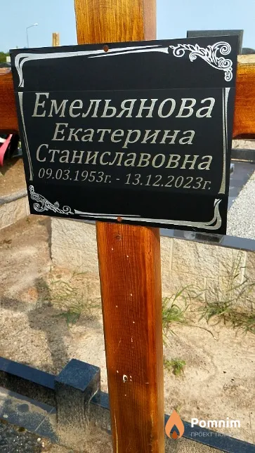 Емельянова Екатерина Станиславовна