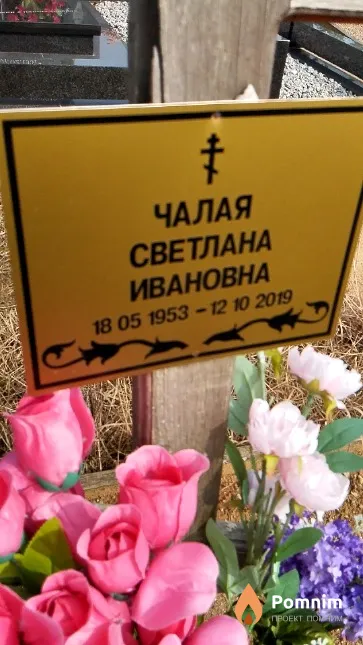 Чалая Светлана Ивановна