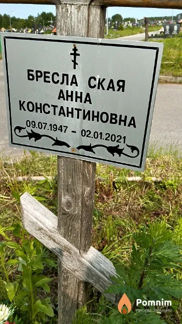 Бреславская Анна Константиновна