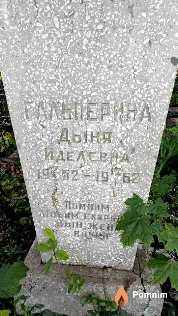 Гальперина Дыня Иделевна
