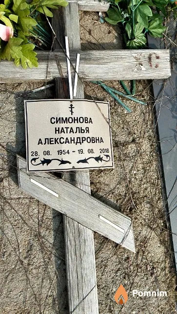 Симонова Наталья Александровна