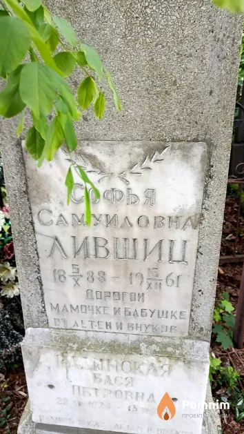 Лившиц Софья Самуиловна