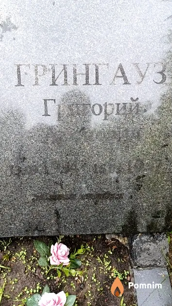 Грингауз Григорий Аронович