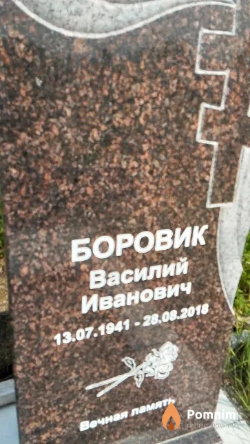 Боровик Василий Иванович