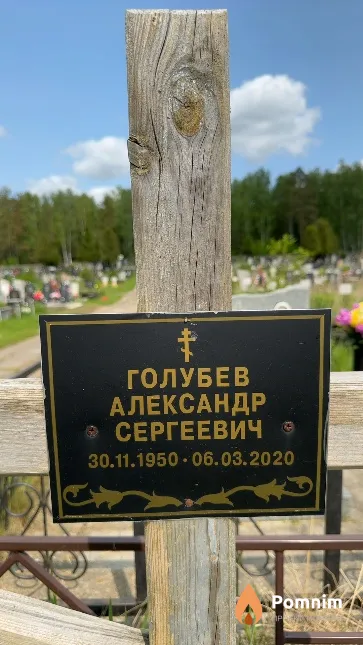 Голубев Александр Сергеевич