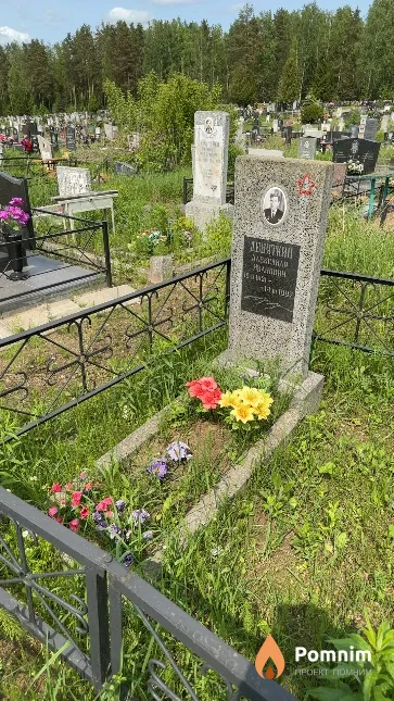 Девяткин Александр Иванович