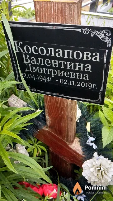 Косолапова Валентина Дмитриевна