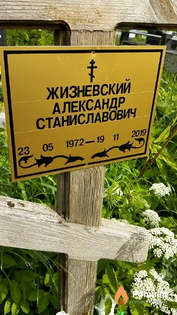 Жизневский Александр Станиславович