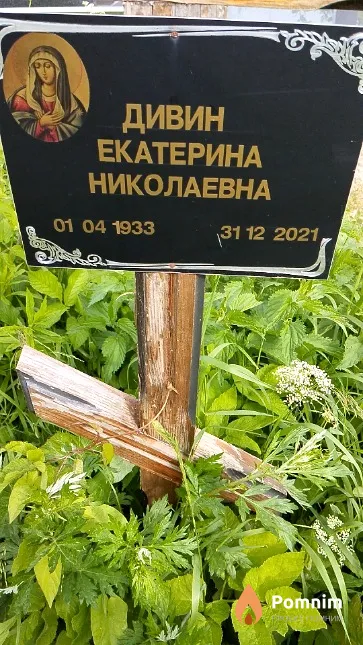 Дивин Екатерина Николаевна