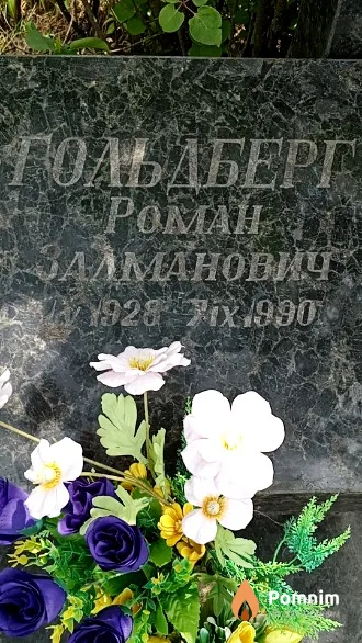 Гольдберг Роман Залманович