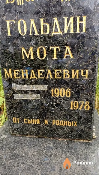 Гольдин Moта Менделевич