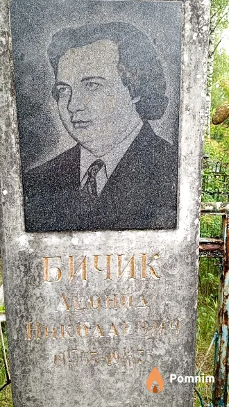 Бичик Леонид Николаевич