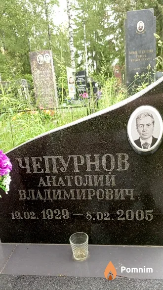 Чепурнов Анатолий Владимирович