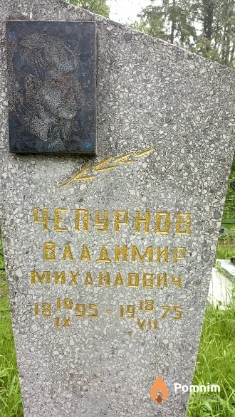Чепурнов Владимир Михайлович