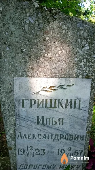 Гришкин Илья Александрович