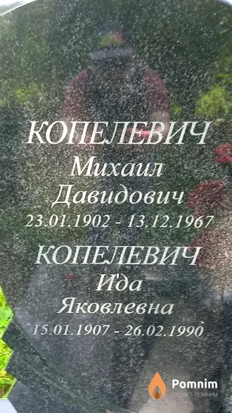 Копелевич Михаил Давидович