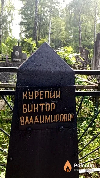 Курепин Виктор Владимирович